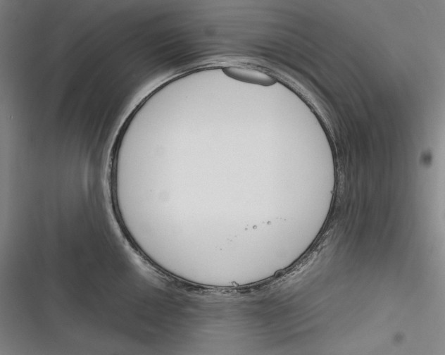 X0000116261050201001110949