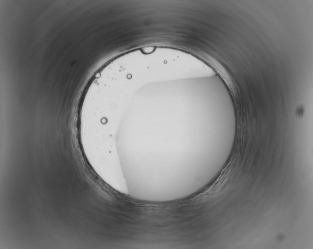 X0000116261051201001110949