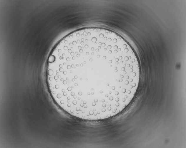 X0000116261053201001110949