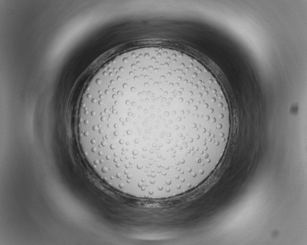 X0000116261054201001110949