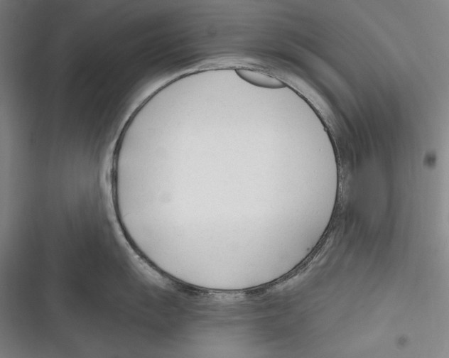 X0000116261055201001110949