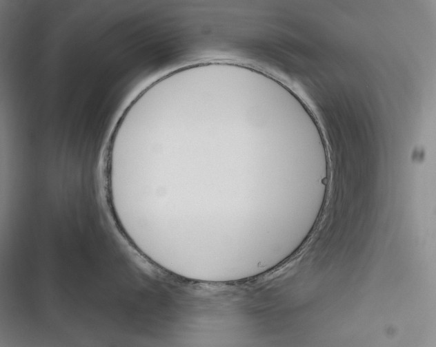 X0000116261056201001110949