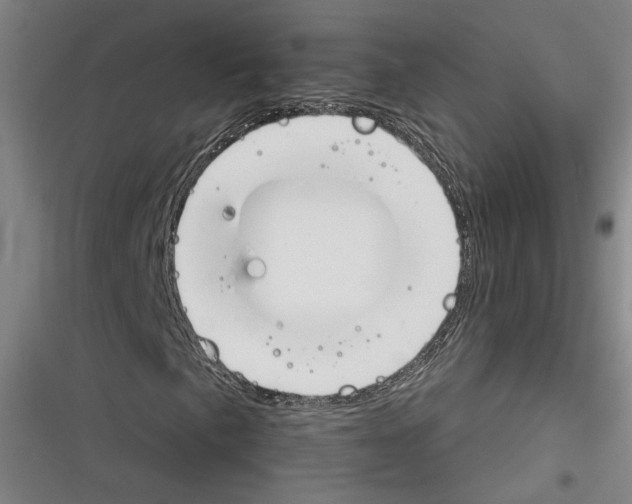 X0000116261057201001110949