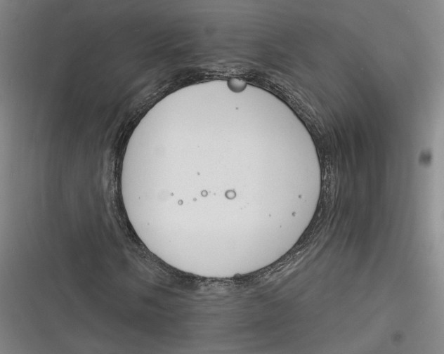 X0000116261058201001110949