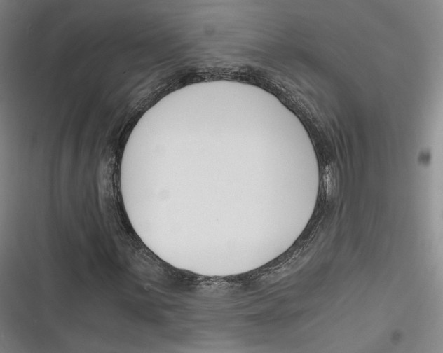 X0000116261059201001110949