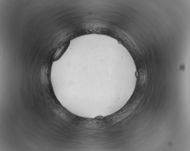 X0000116261060201001110949