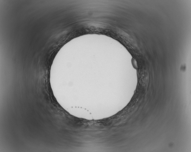 X0000116261061201001110949