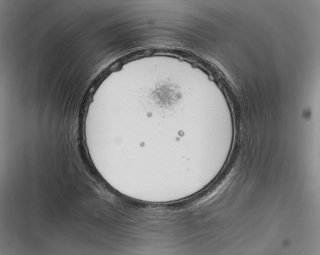 X0000116261065201001110949