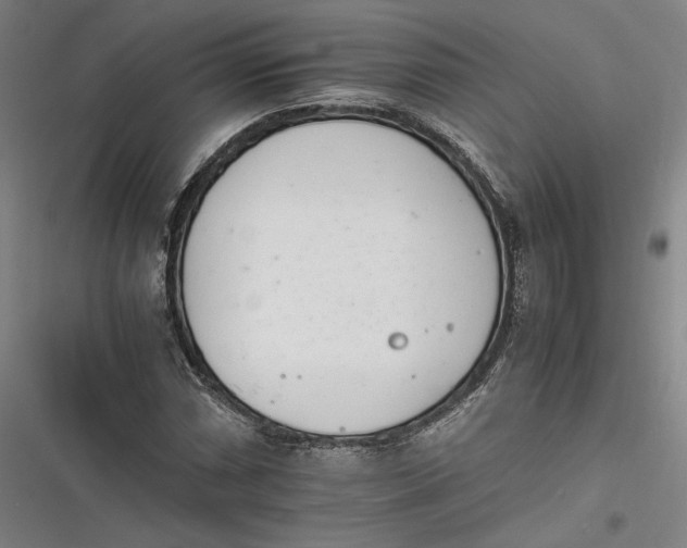 X0000116261066201001110949