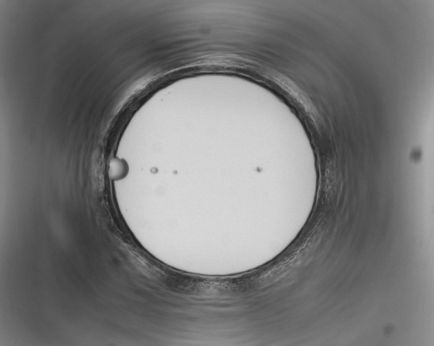 X0000116261067201001110949
