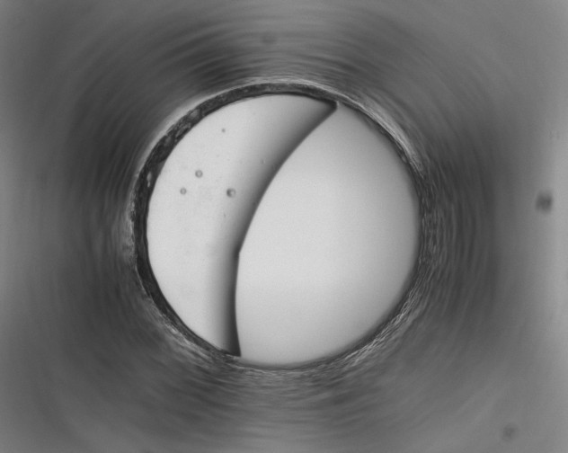 X0000116261068201001110949