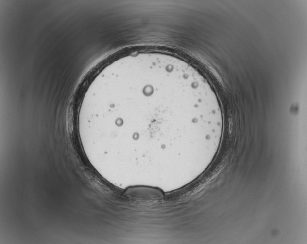 X0000116261069201001110949