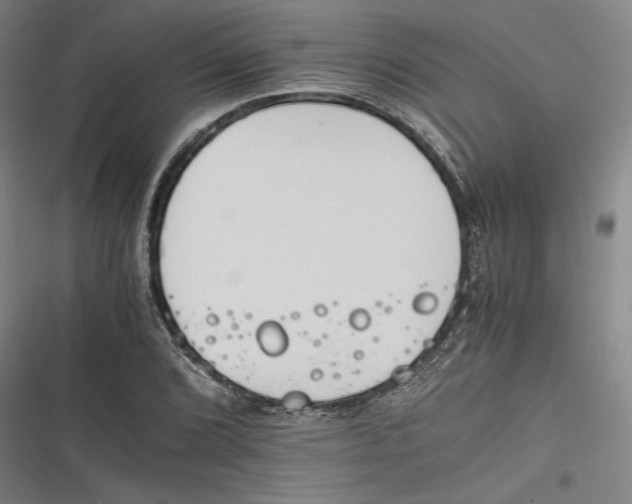 X0000116261072201001110948
