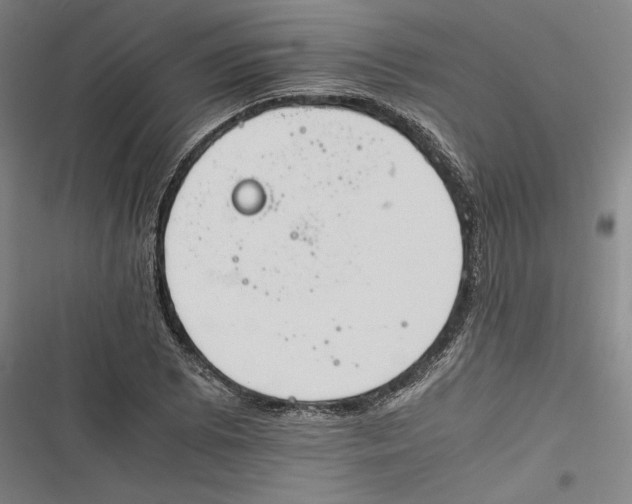 X0000116261073201001110948