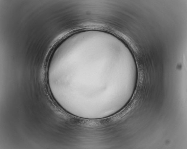 X0000116261074201001110948