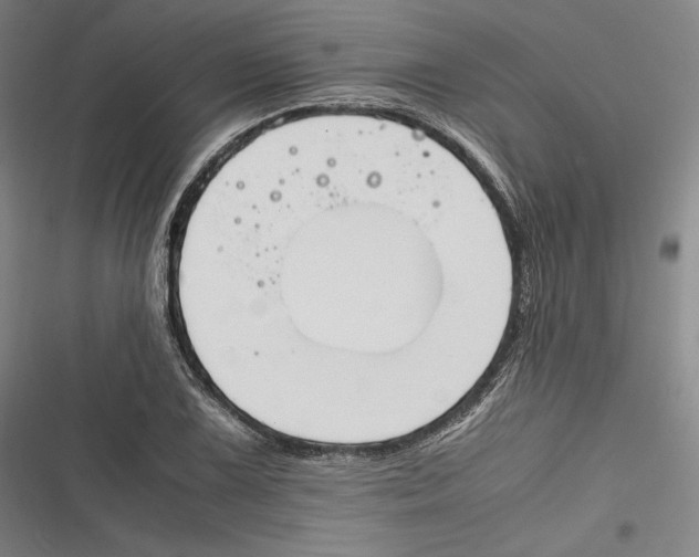 X0000116261075201001110948