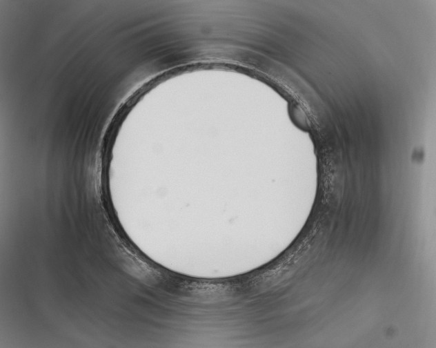 X0000116261076201001110948