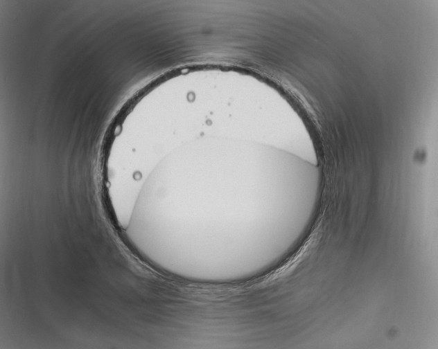 X0000116261077201001110948