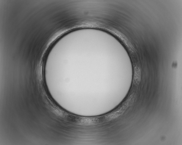 X0000116261078201001110948