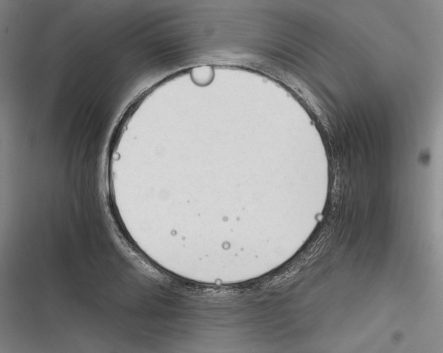 X0000116261080201001110948