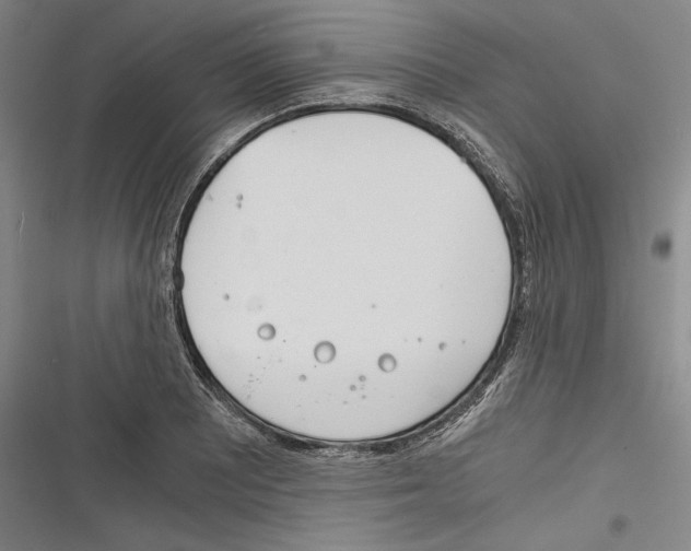 X0000116261081201001110948