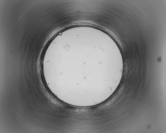 X0000116261082201001110948