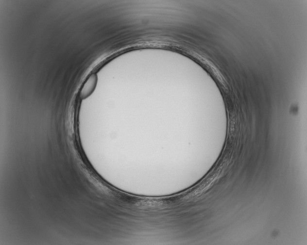 X0000116261083201001110948