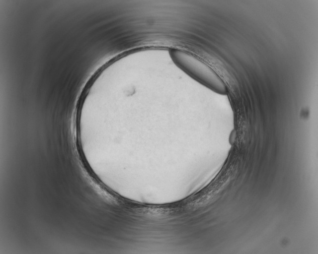 X0000116261084201001110948