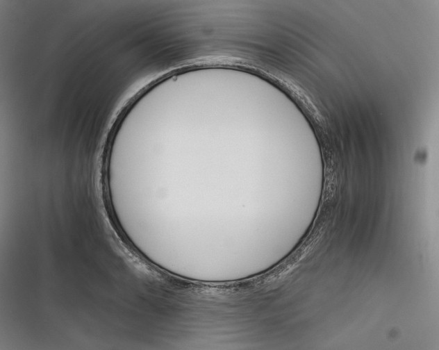 X0000116261086201001110948