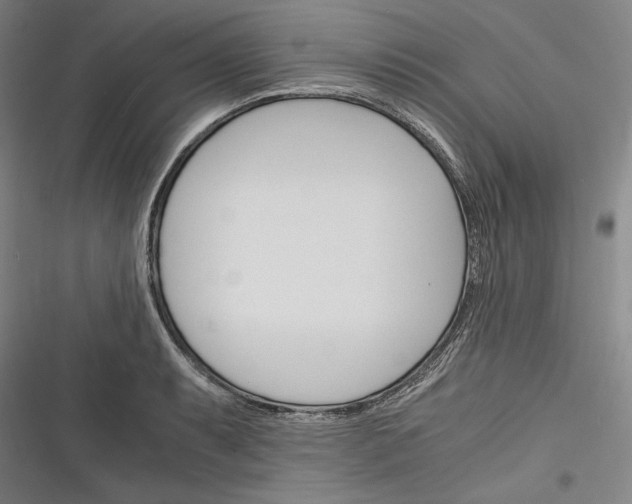 X0000116261087201001110948