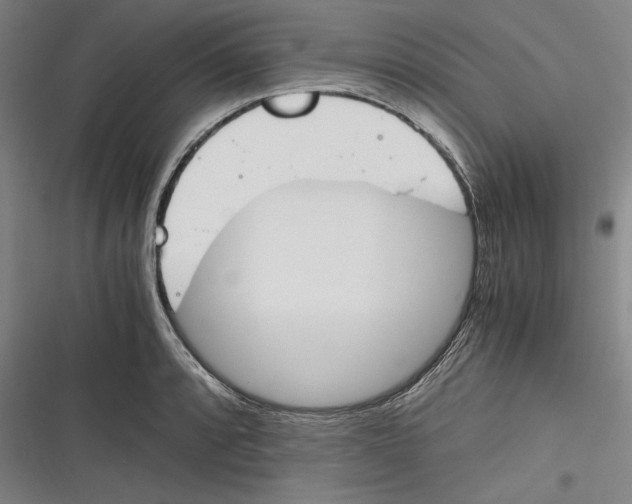 X0000116261088201001110948
