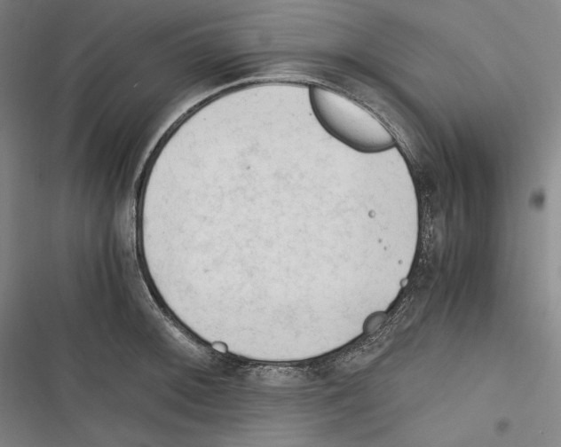 X0000116261092201001110948