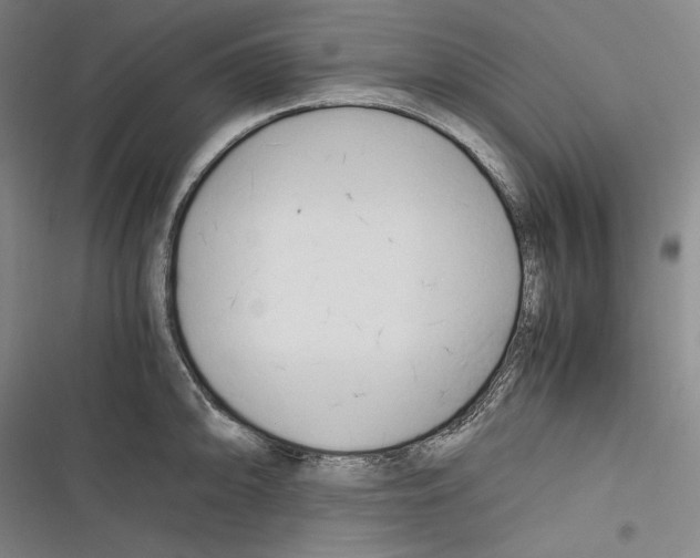 X0000116261094201001110948