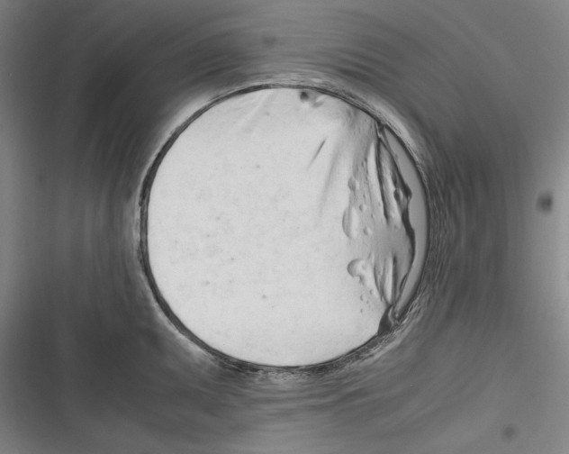 X0000116261095201001110948