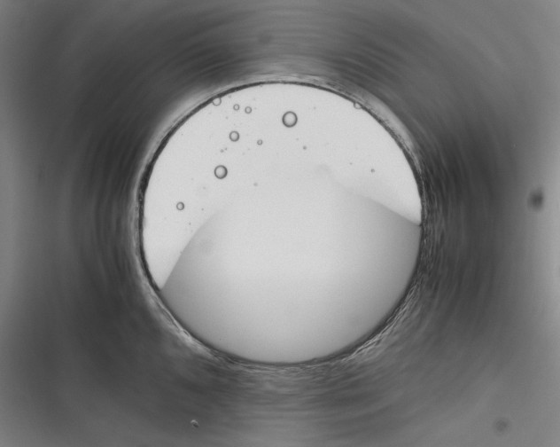 X0000116261096201001110948