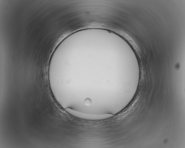 X0000116261097201001110948