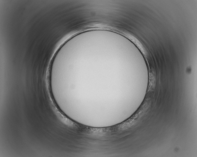 X0000116261098201001110948