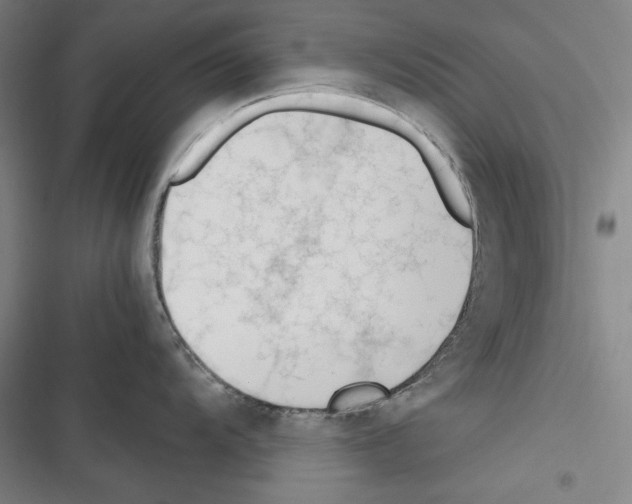 X0000116261104201001110948