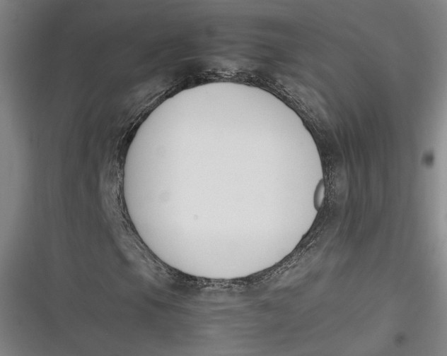 X0000116261105201001110947