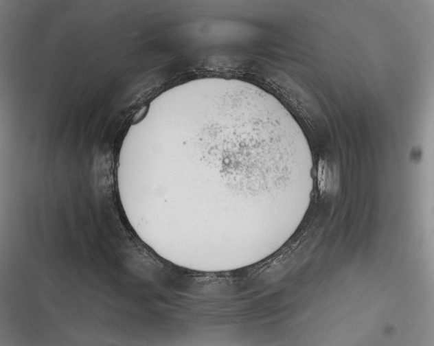 X0000116261107201001110947