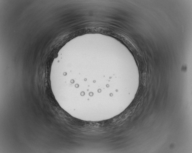 X0000116261111201001110947