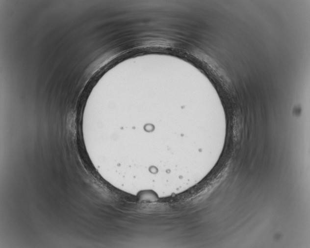 X0000116261113201001110948