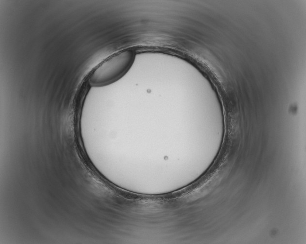 X0000116261114201001110948