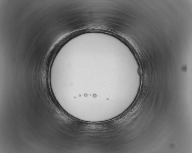 X0000116261115201001110948