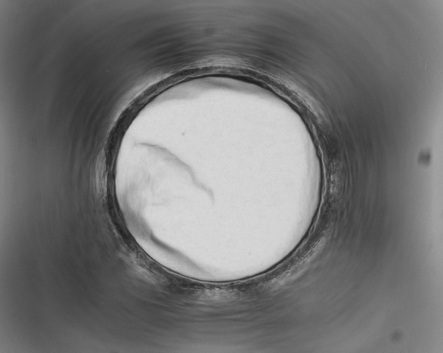 X0000116261117201001110948
