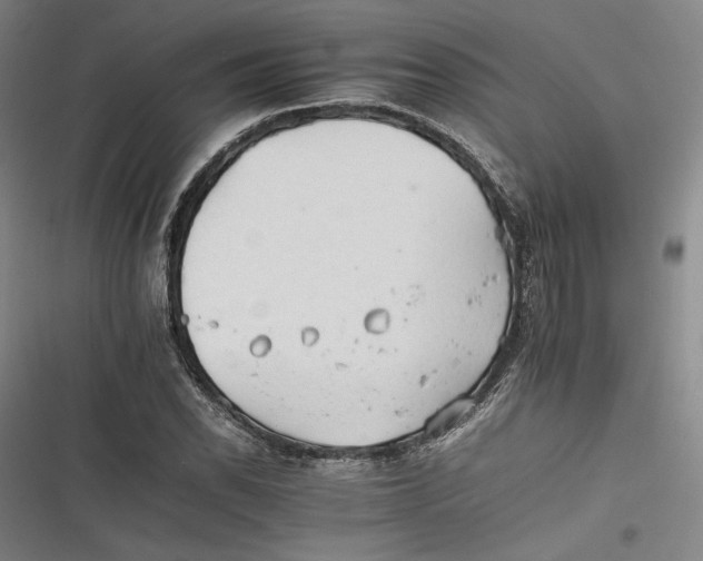 X0000116261118201001110948