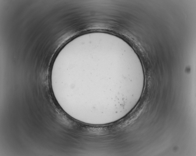 X0000116261121201001110948