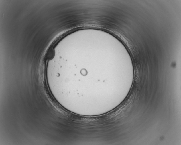 X0000116261123201001110948
