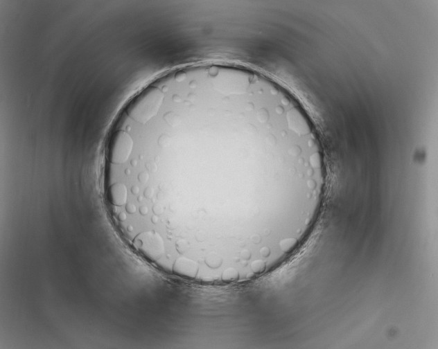 X0000116261126201001110948