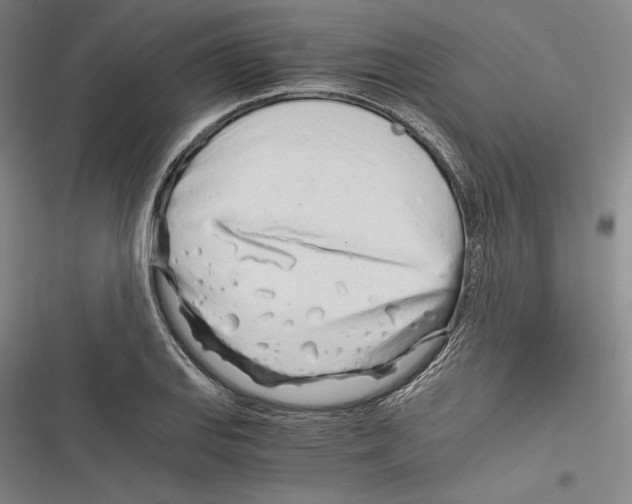 X0000116261127201001110948